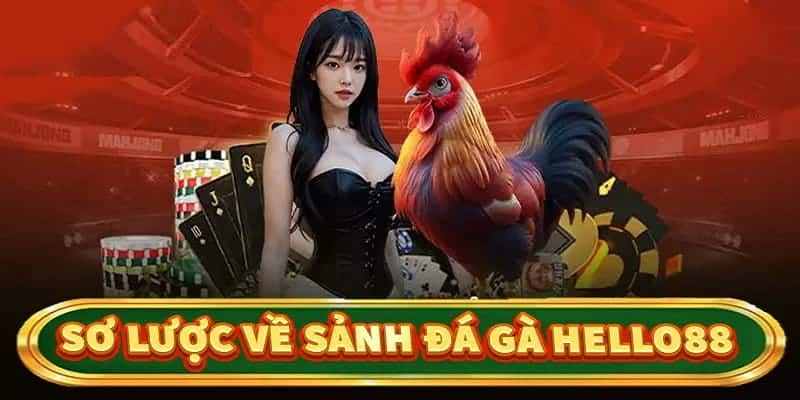 Đá gà Hello88 mang đến không gian cá cược vượt trội