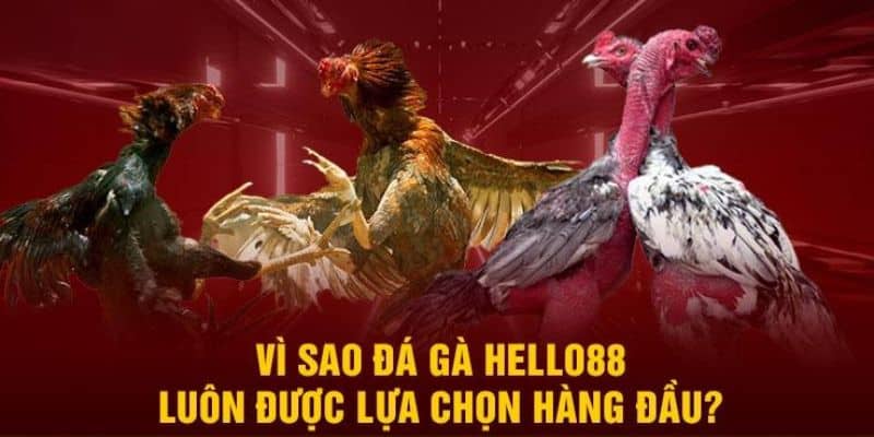 Ưu điểm tạo nên vị thế của sân chơi Hello88